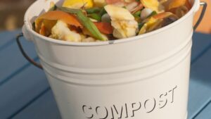 Compost services Newark NJ